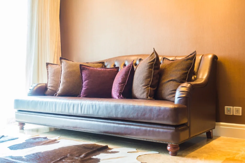 Leather couch cleaner