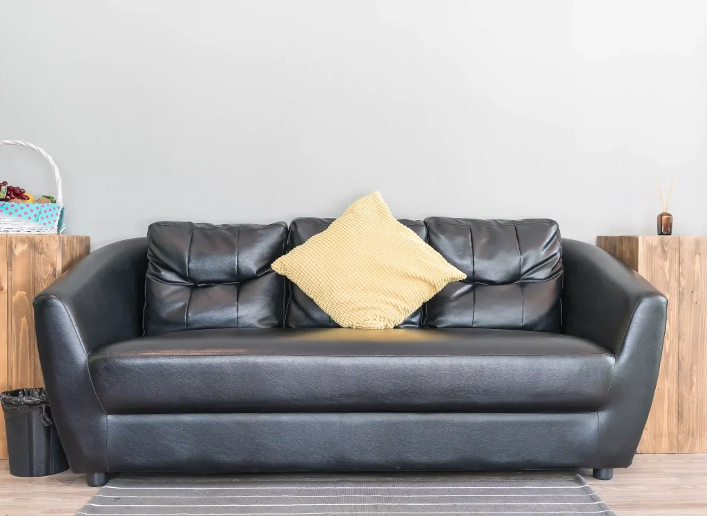 Leather couch cleaner